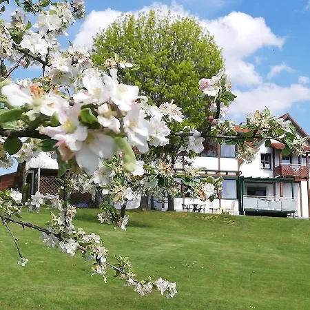 Dampf Guest house