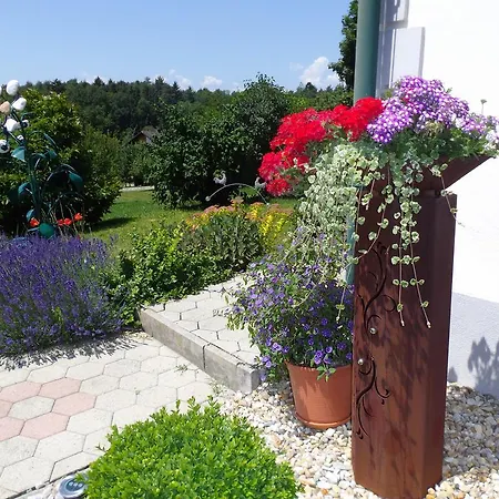 Guest house Dampf 3*