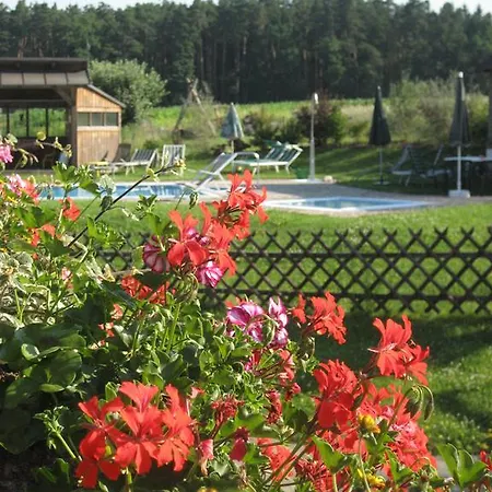 Guest house Dampf 3*