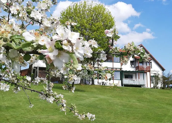 Dampf Гостевой дом