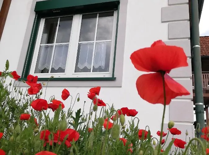 Гостевой дом Dampf Блумау ин Штайермарк