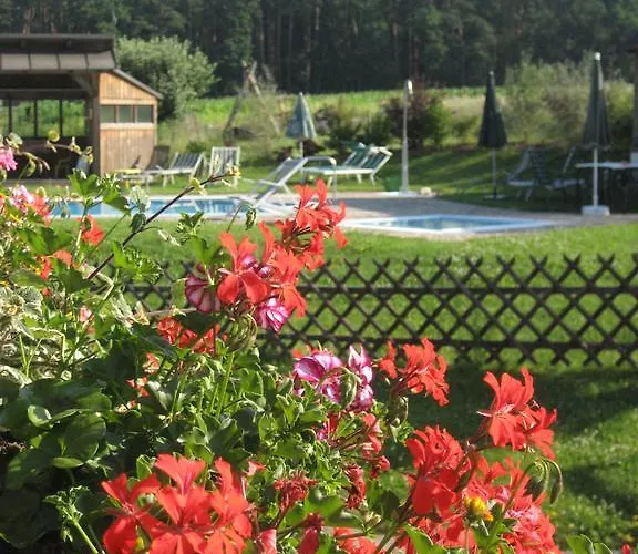 Гостевой дом Dampf 4*